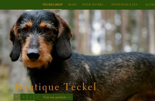 Teckel-shop-e1600881492837.jpg