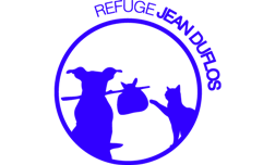 logo-2.png logo-2.png