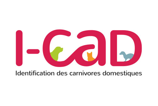 logo_icad.jpg logo_icad.jpg