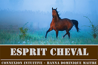 Esprit_cheval-1.jpg Esprit_cheval-1.jpg
