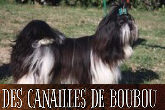 Canailles.jpg Canailles.jpg